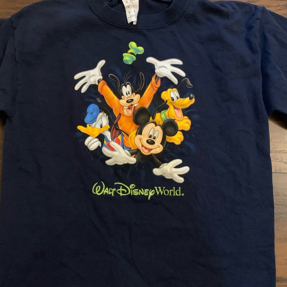 Walt Disney World